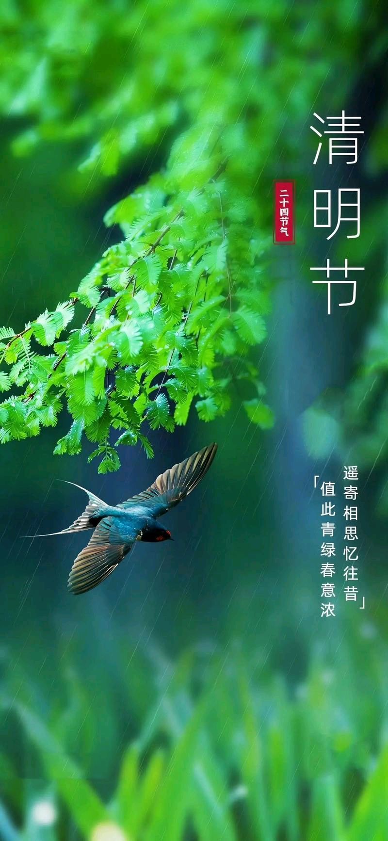 陕西张志民散文《清明节的思念》（图9）