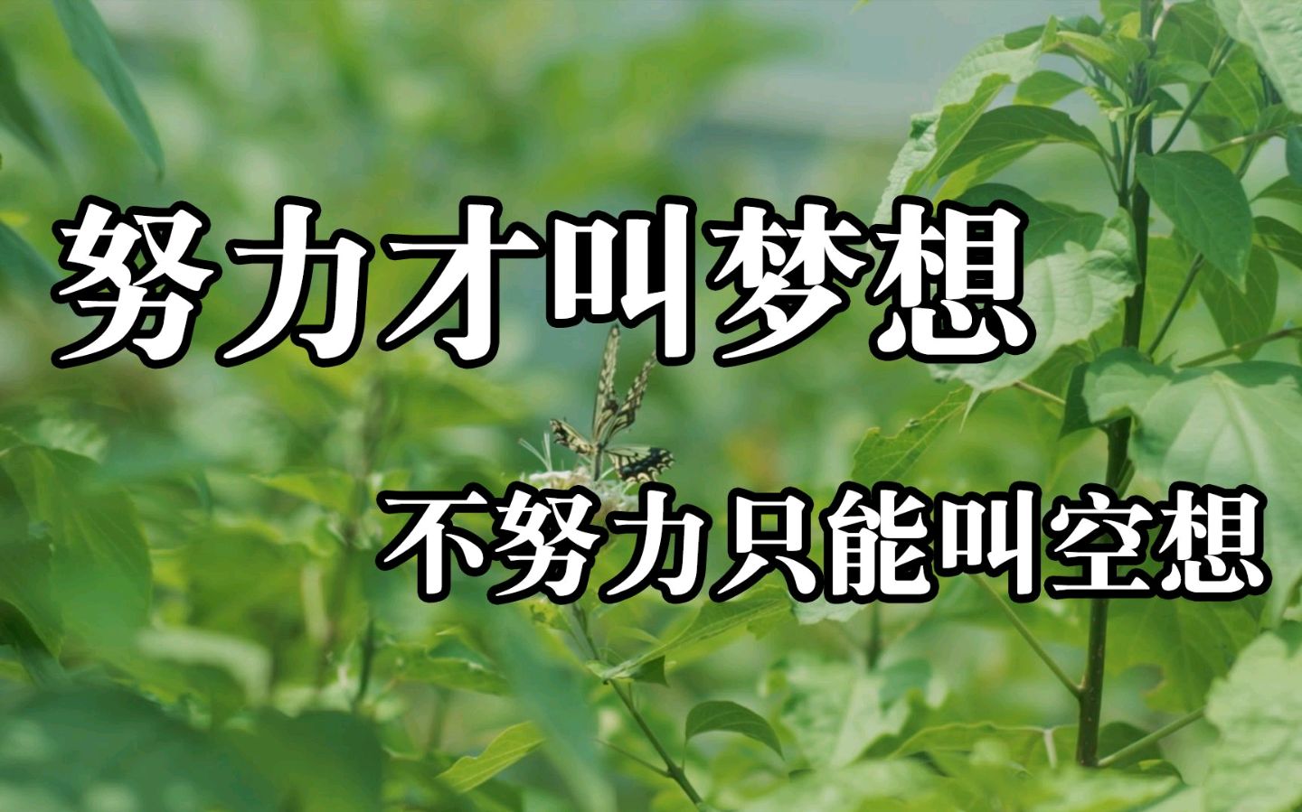 努力，从心开始～文||穆艳花（图12）