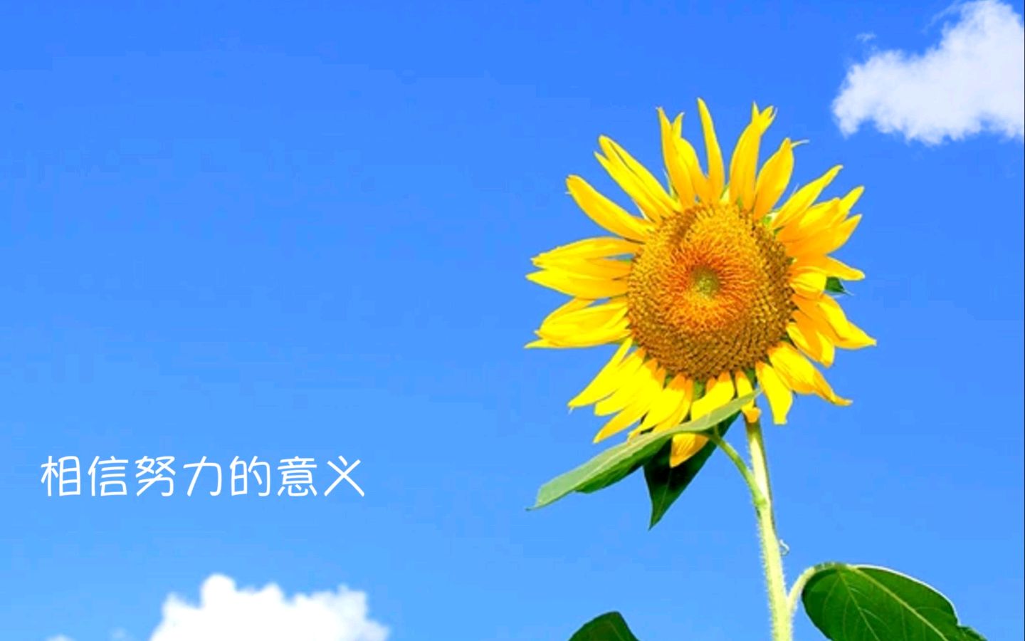 努力，从心开始～文||穆艳花（图13）
