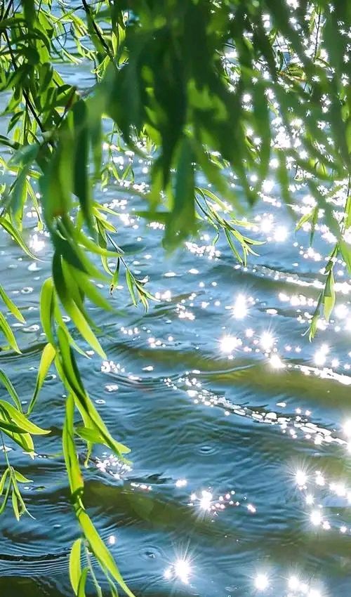 七绝-清明～诗||胡斌（桃花园君）（图13）