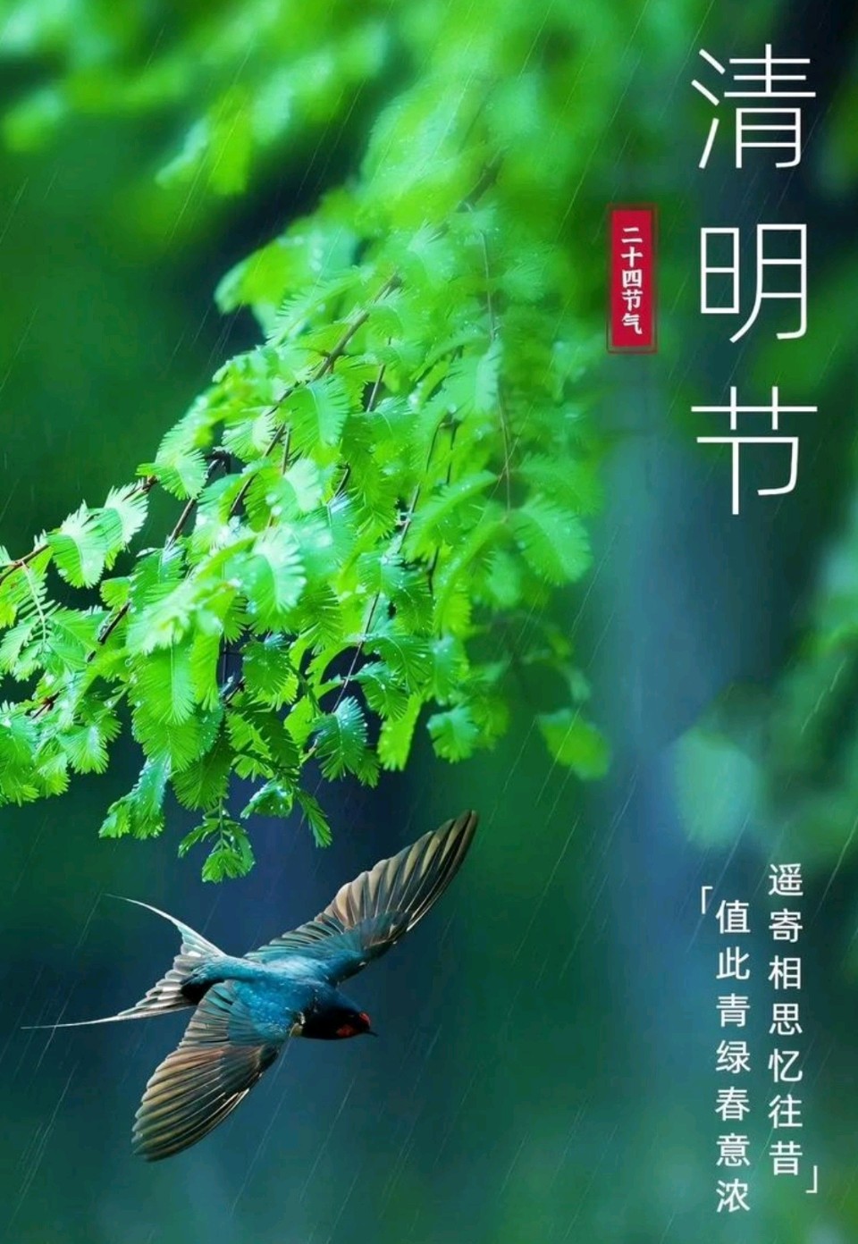乙巳年清明诗作/潘毅/张松（图2）