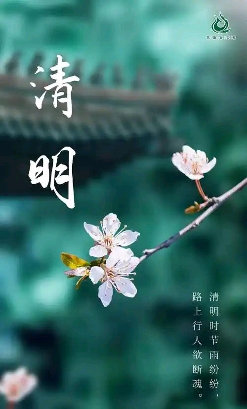 乙巳年清明诗作/潘毅/张松（图3）