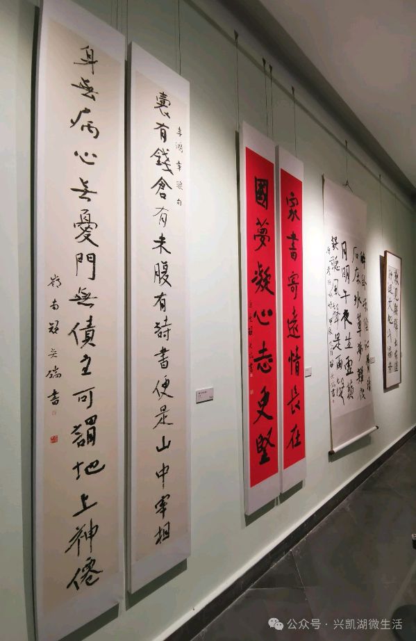 赓续与回响——参观广东省东莞市当代帖学十四人书法作品纪实王博 王夫（图9）