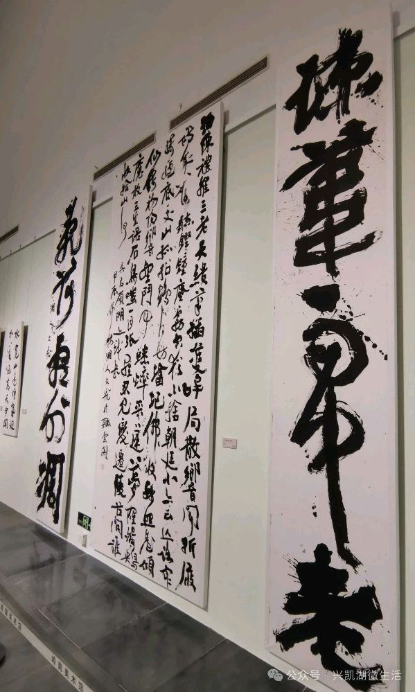 赓续与回响——参观广东省东莞市当代帖学十四人书法作品纪实王博 王夫（图10）