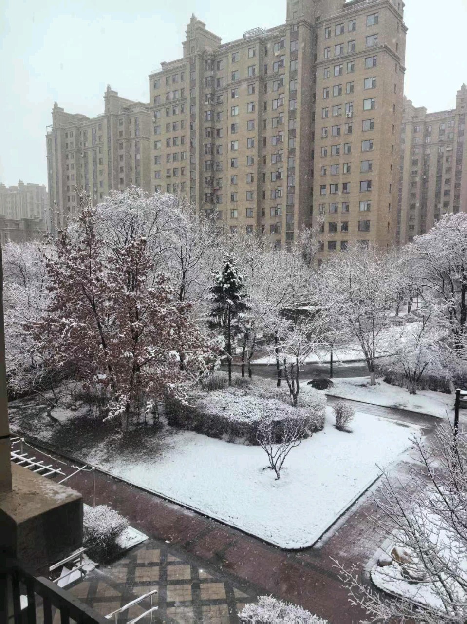 风雪送春归～诗◑李永康（图8）