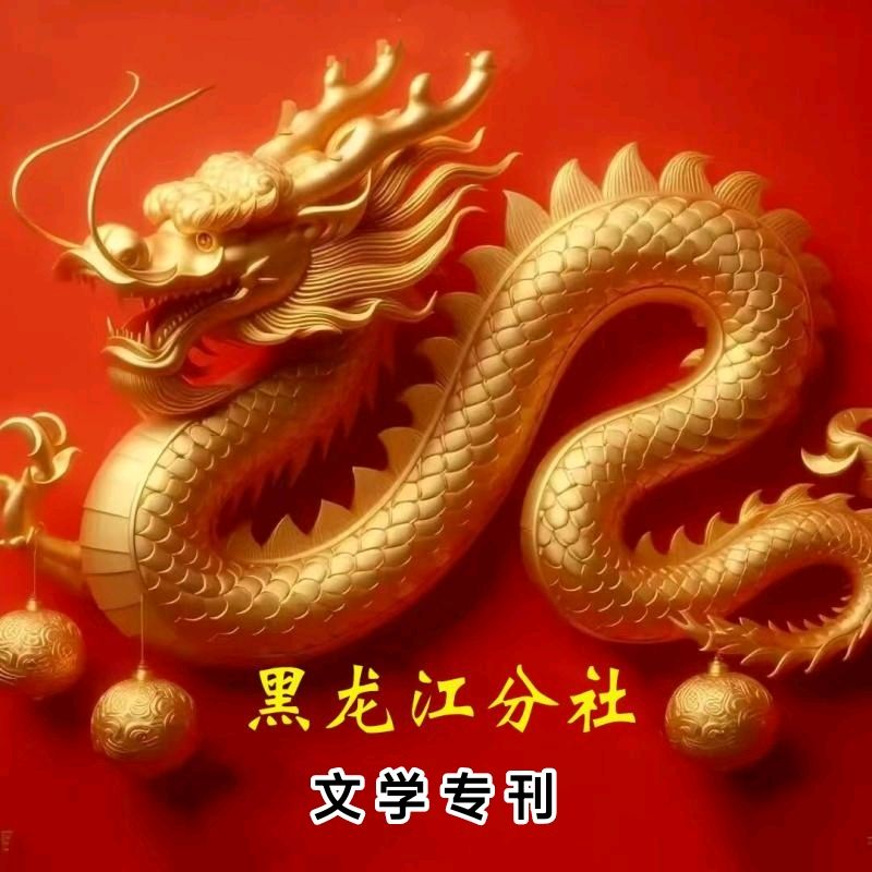 诗人白丁(张温)现代诗专辑/中华诗艺社黑龙江分社【2025第115期】（图3）