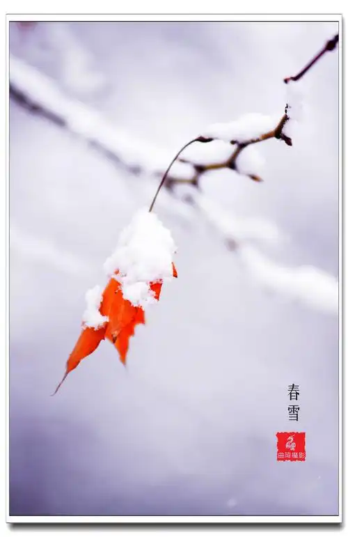 春的气息（10）‖巴彦诗词楹联协会【910】（图6）