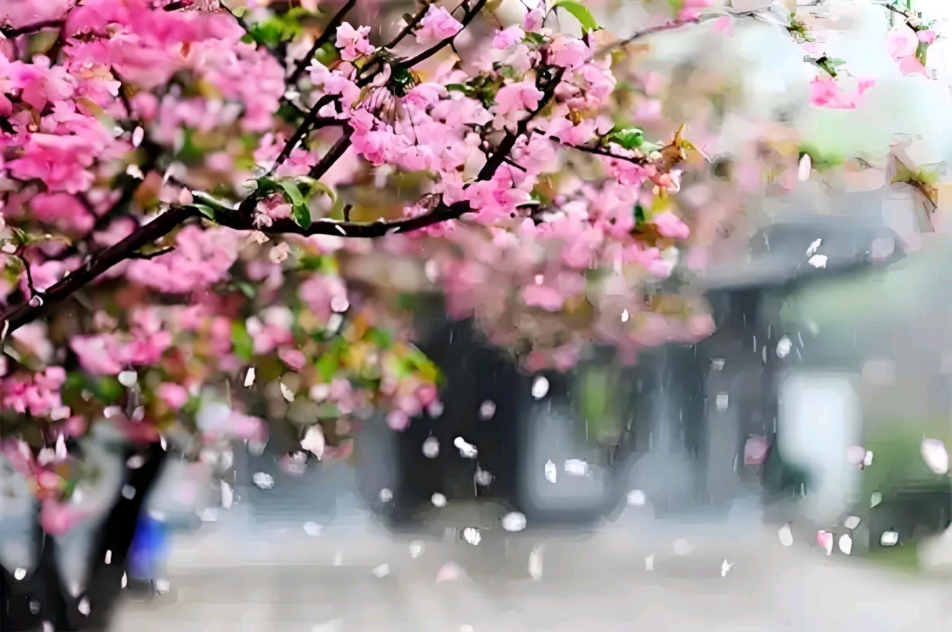 七绝·《惜花 》 文/含羞草（图3）