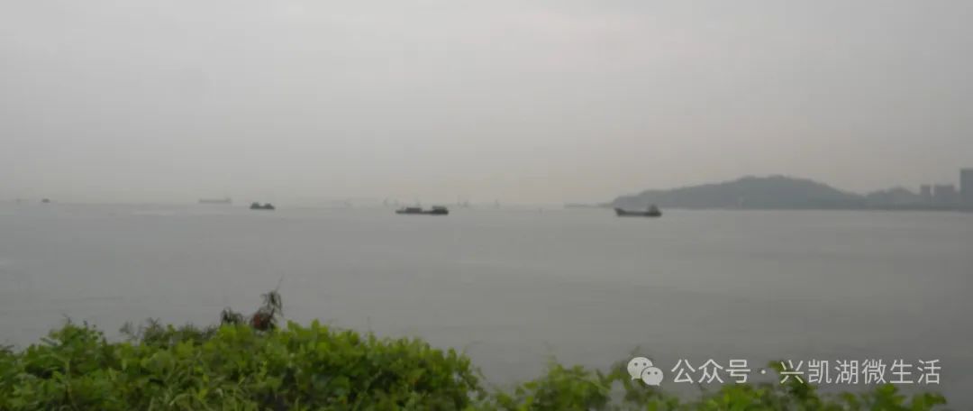 【游记】激励后人的悲壮历史——参观鸦片战争博物馆/王博 王夫(图29)