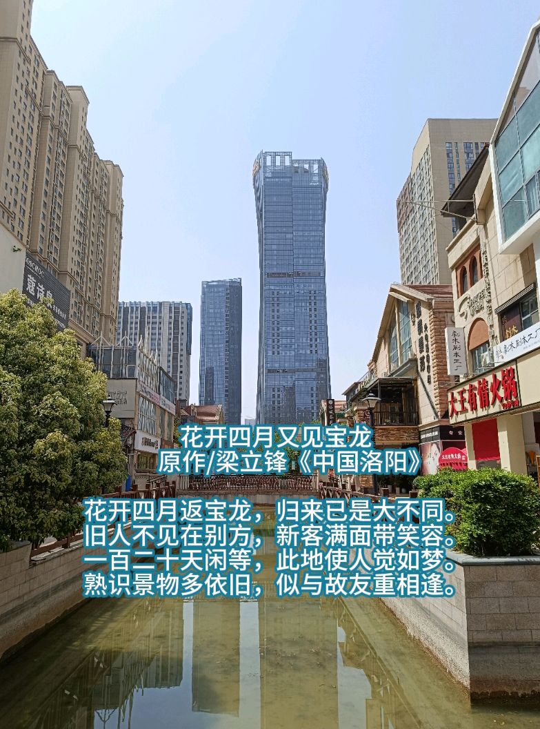 花开四月又见宝龙 原作/梁立锋