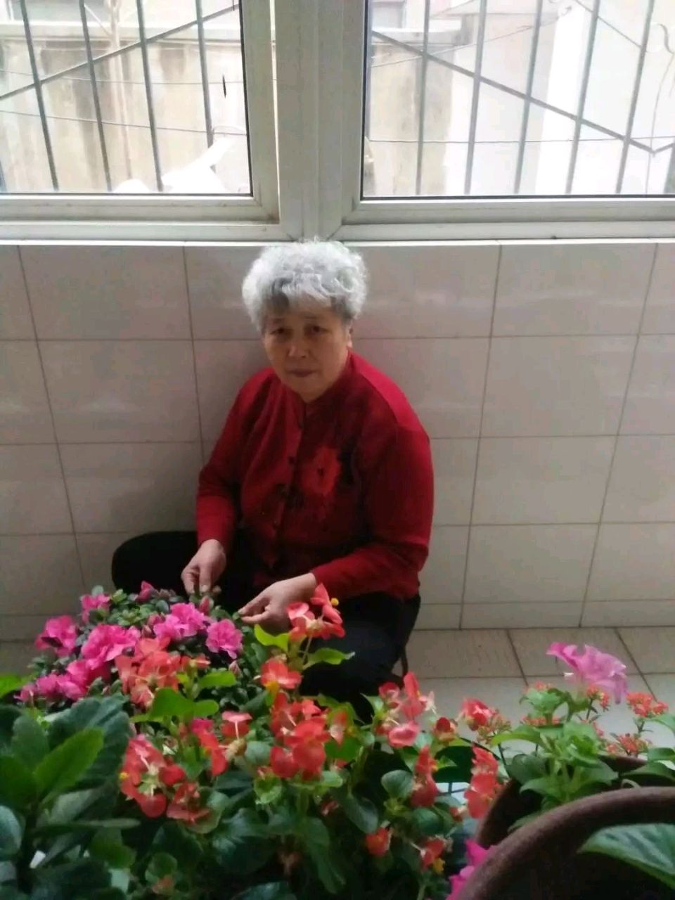 天 意 怜 幽 草 李良森(图10)