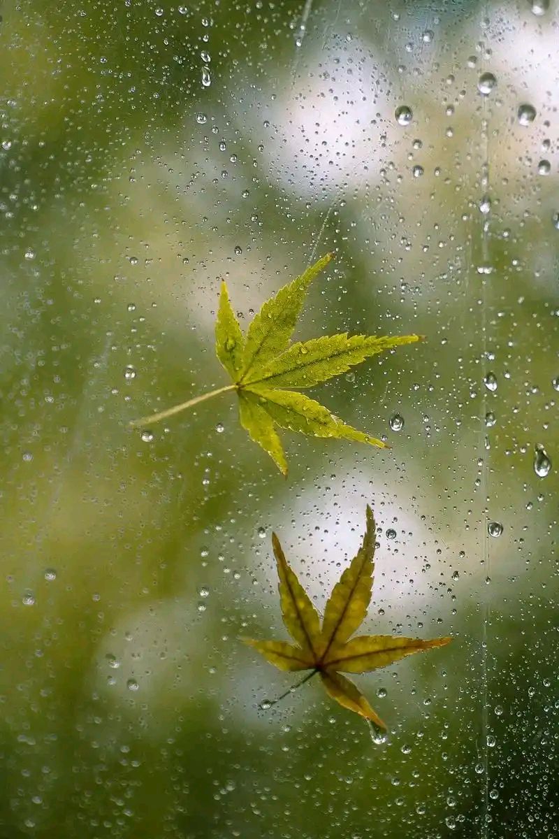 春的气息（11）‖巴彦诗词楹联协会【913】（图6）
