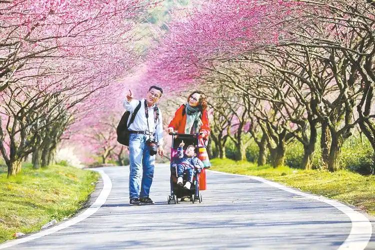【新山东文学社】《春深寄怀(八首)》作者/剑如虹 主播/天空(图7)