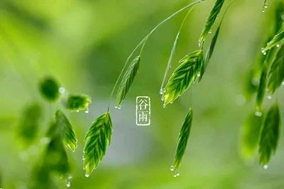 健康是福的《七律 谷雨》