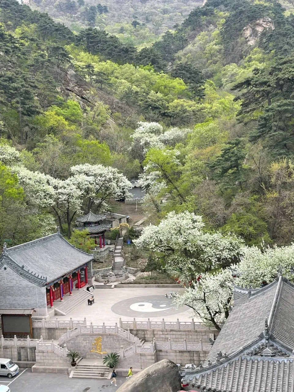 咏千山梨花～诗◑吴永良（图15）