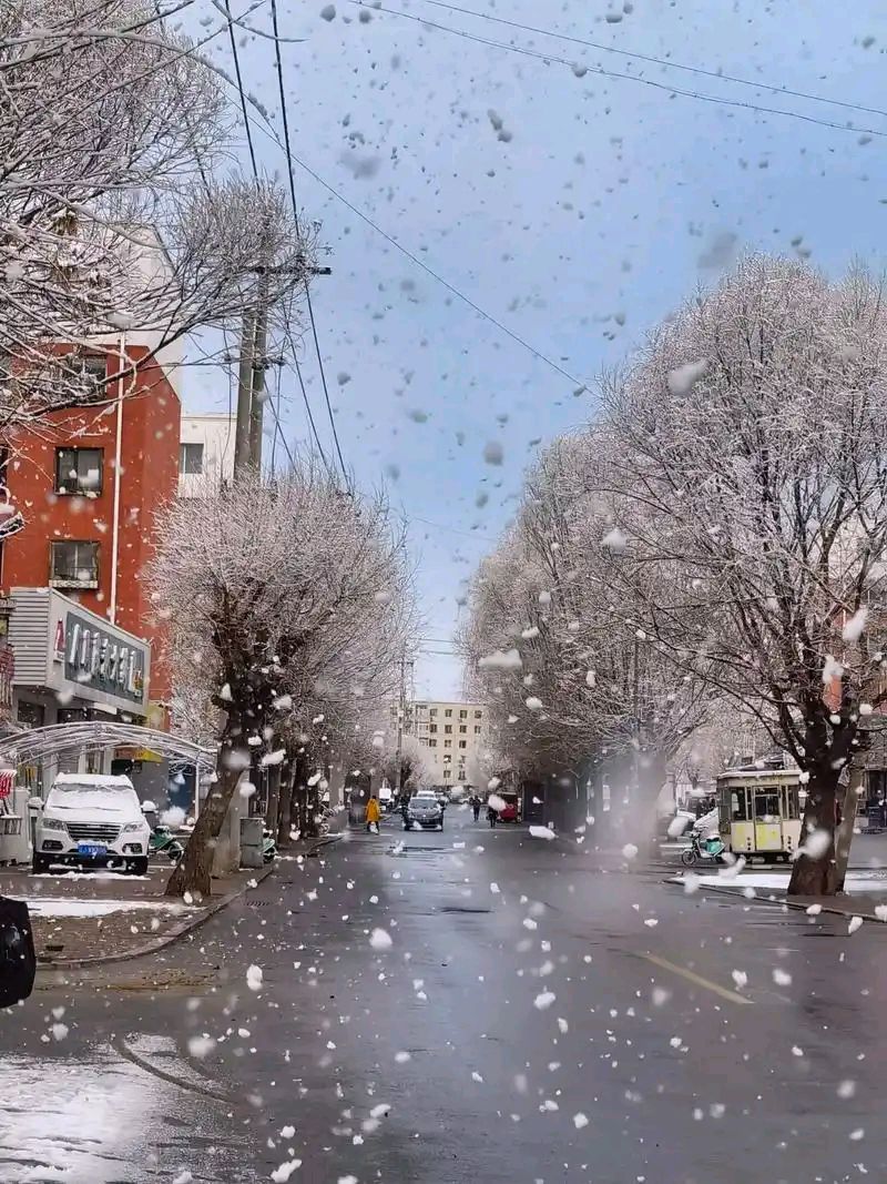【新山东文学社】《三月大雪纷纷扬》作者/孙波 主播/苏宁（图3）