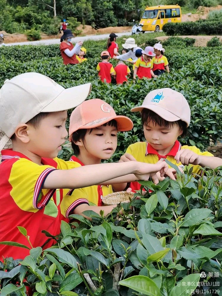 泉港区童话幼儿园系列诗选之③诗◑雅轩琴韵（图35）