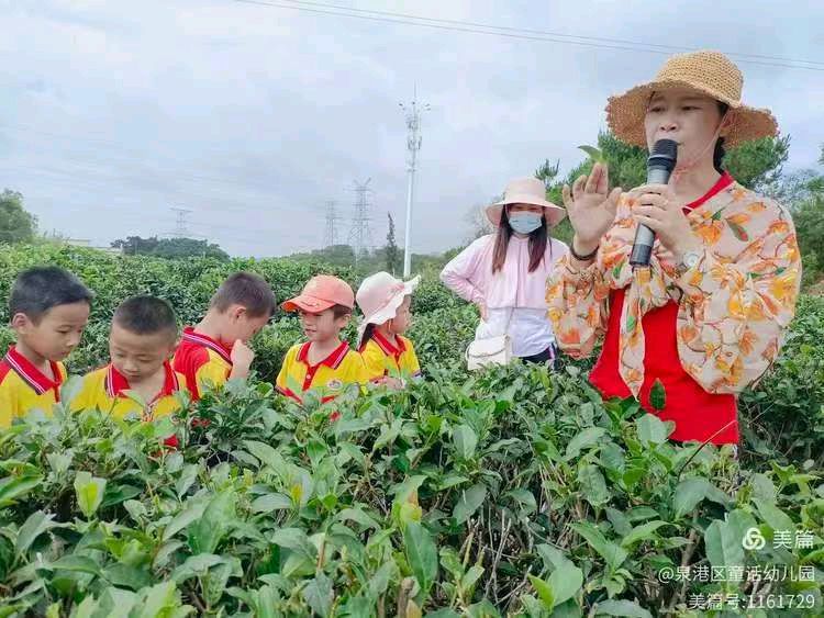 泉港区童话幼儿园系列诗选之③诗◑雅轩琴韵（图9）