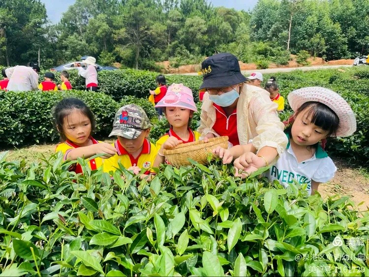 泉港区童话幼儿园系列诗选之③诗◑雅轩琴韵（图17）