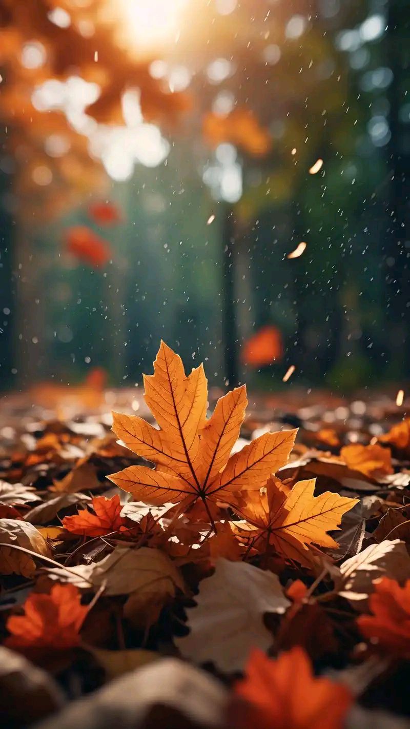 七绝-落叶～诗◑刘景耀（图14）