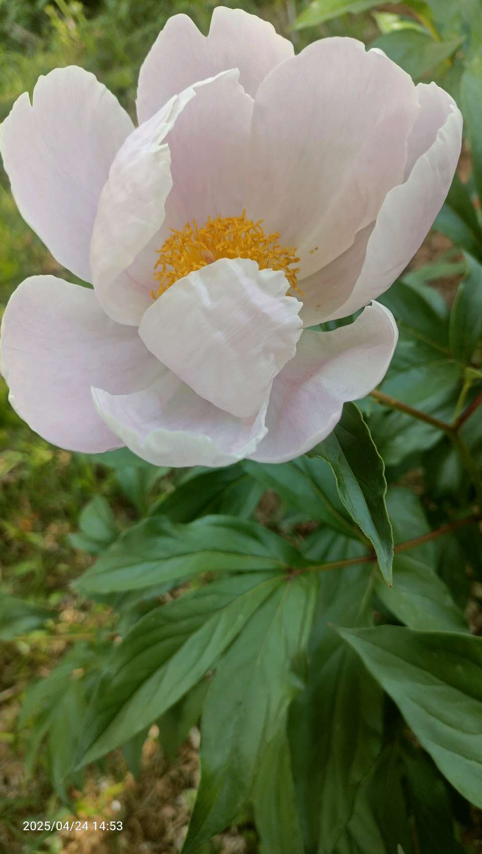 镌刻于历史的千年喟叹 作者：陈雨菲（图10）