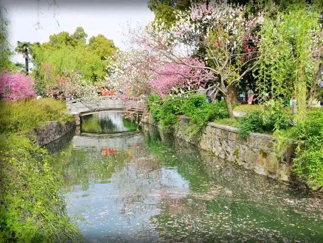 【新山东文学社】《暮春吟怀(十二首)》作者/剑如虹 主播/天空(图6)