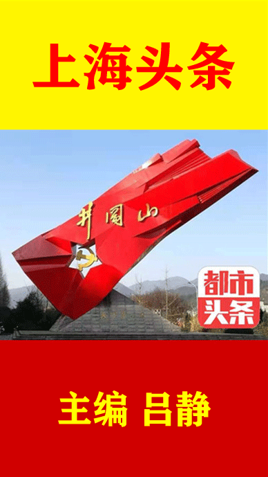 康乃馨的姐妹们_作者‖徐静