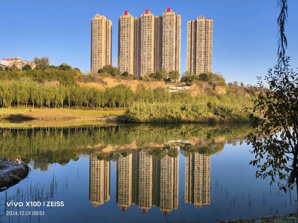 蒹葭水畔觅芳踪||赵建平/陕西
