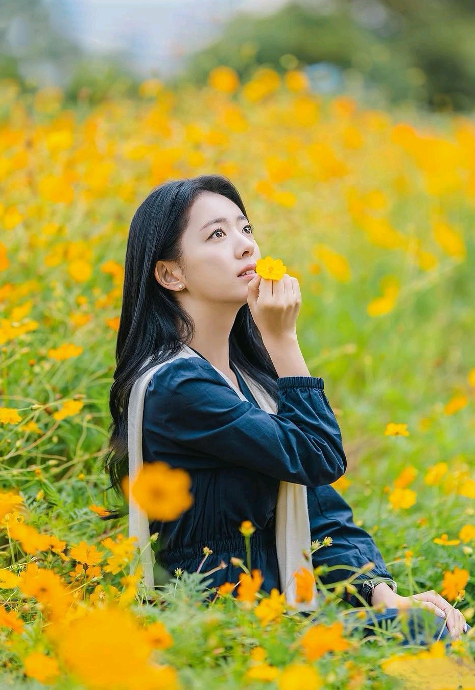 七言排律-立夏剪影～诗◑杨景儒（图14）