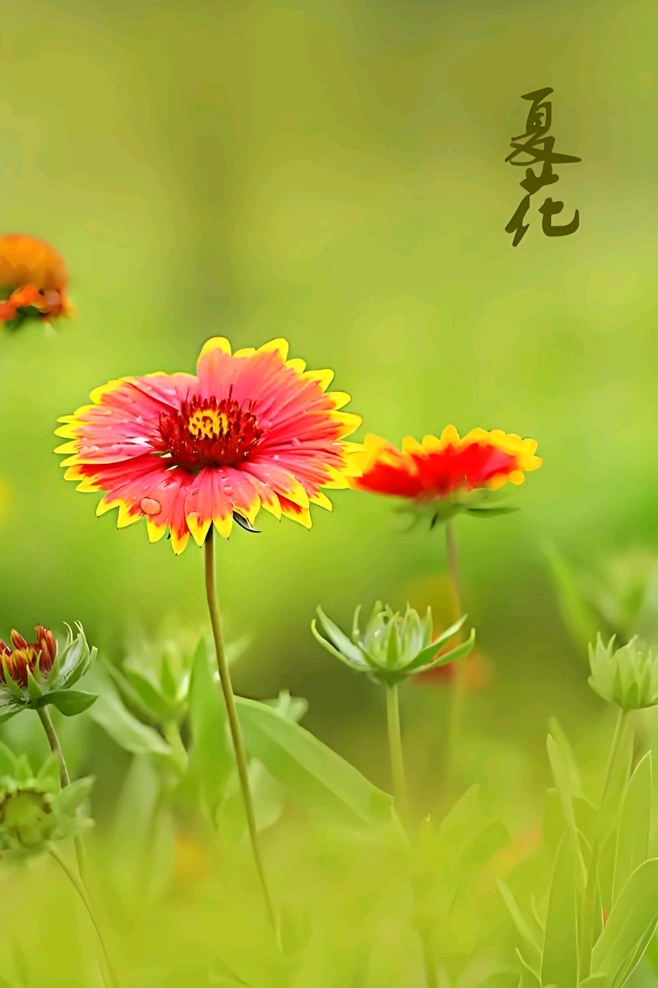 七绝-遣怀（附AI析评）诗◑王政（图12）