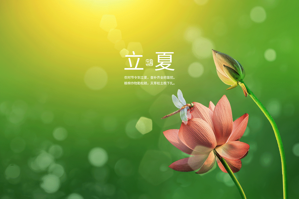 鹧鸪天-立夏（组合）词◑于兴庆（图16）