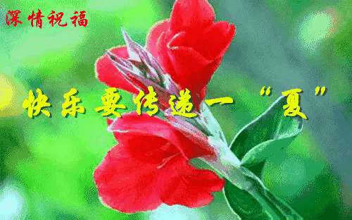 东方文学荟萃|天阳诗友会|立夏主题诗词拾贝(图9)