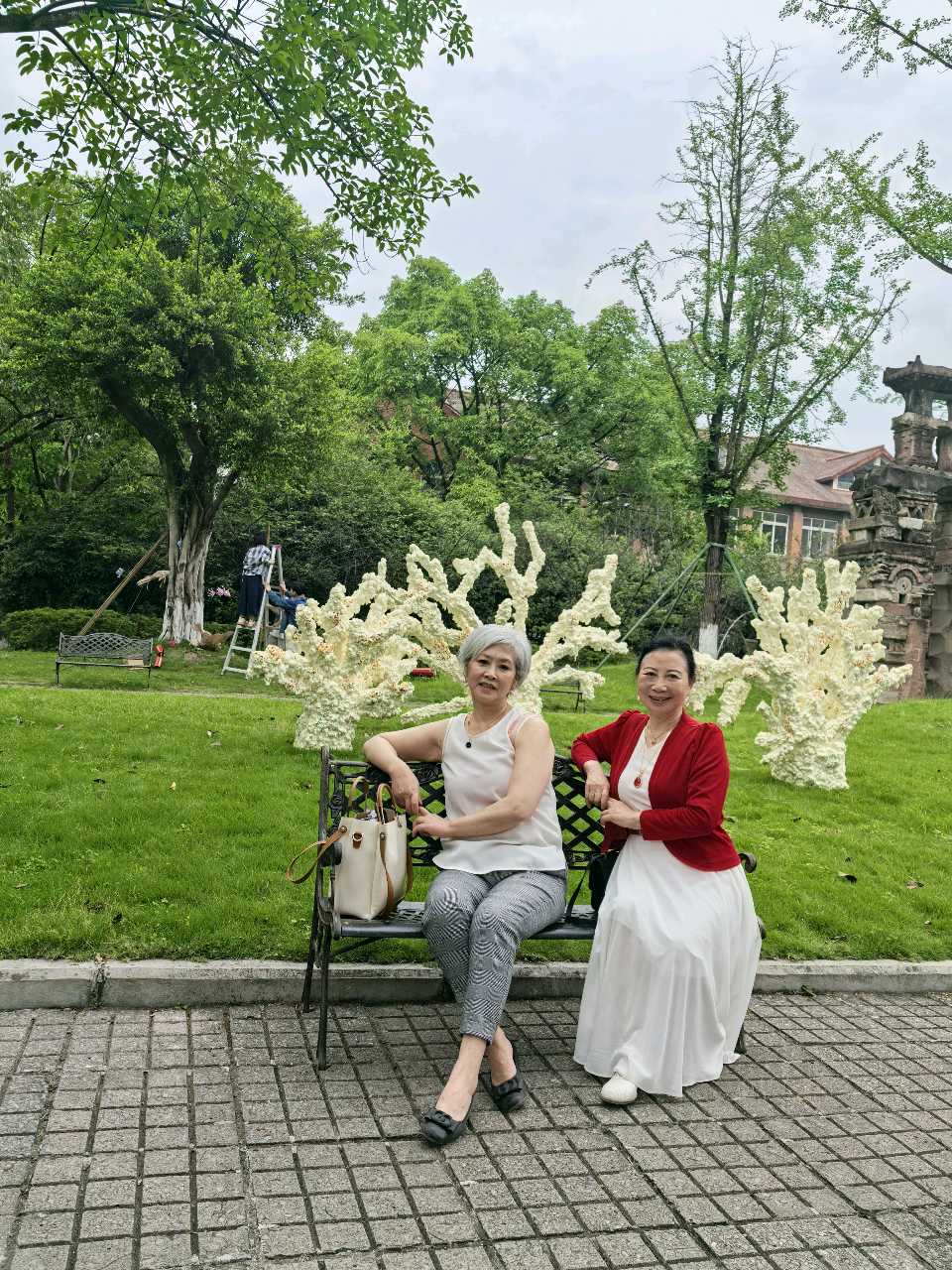「散文」九龙江畔的马鞭花开了（图12）