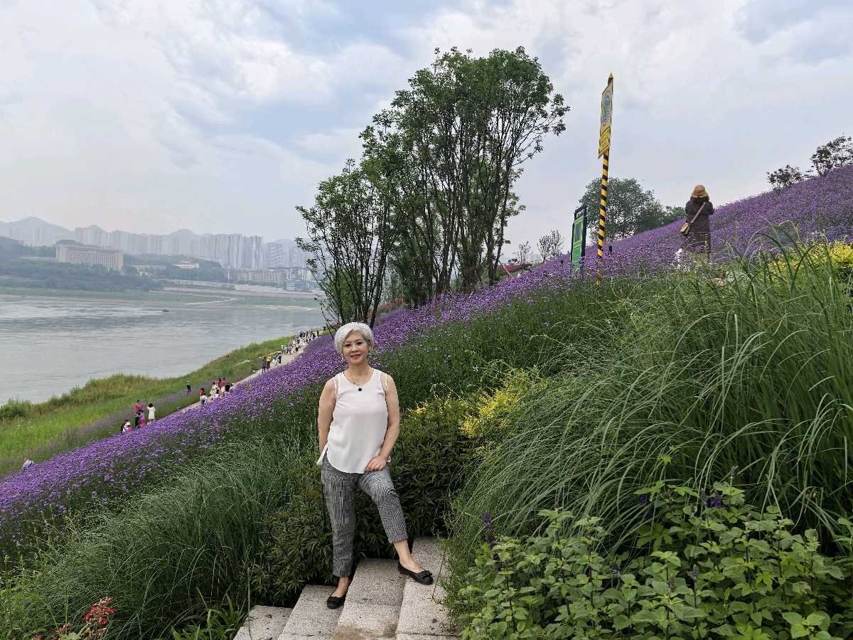 「散文」九龙江畔的马鞭花开了（图14）