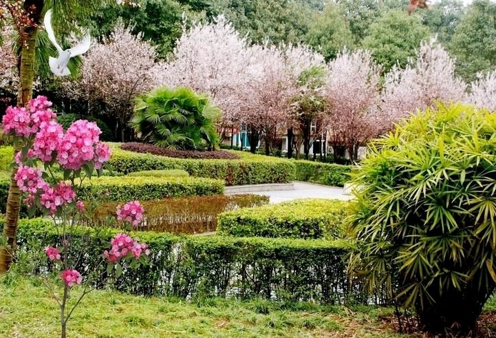 【荣耀中国】请欣赏著名诗人乡音随笔(图7)