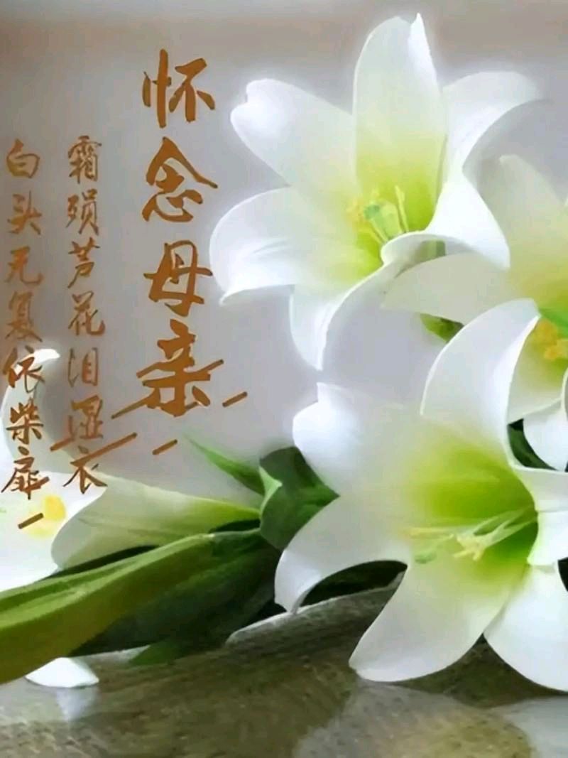 七言排律-母亲节感怀～诗◑杨景儒（图12）