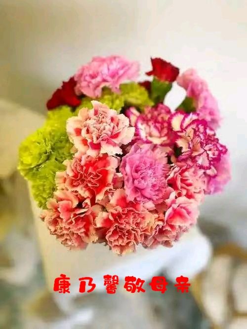 七律-母亲节忆母亲～诗◑王政（图12）