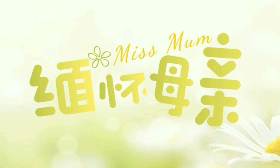 母亲节怀母（外一首）诗◑孙丙辉（图14）