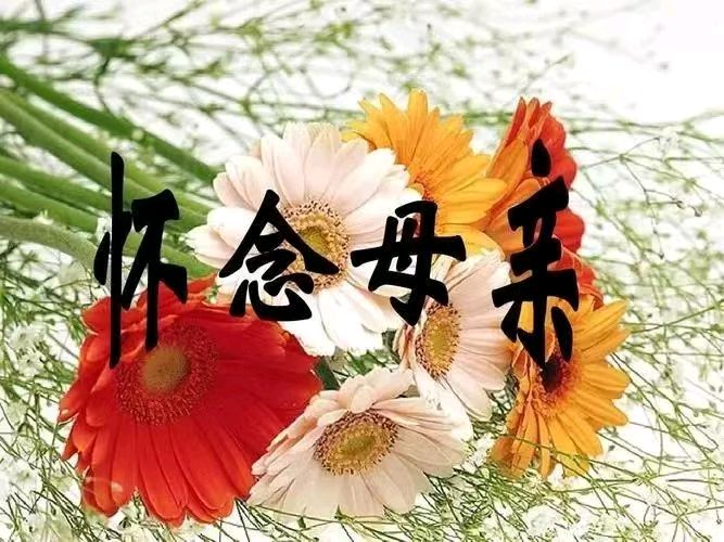 【小雅文创】杨学是《母亲节献礼》（诗二首）（图3）