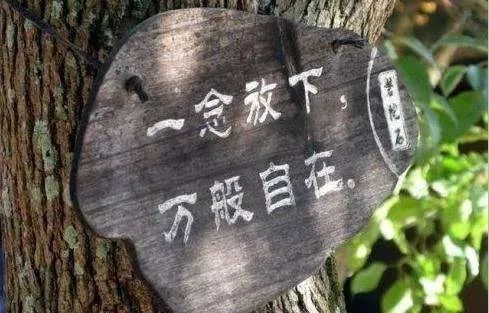 【明心文学】霍文学/放下 主播/薇薇（图3）