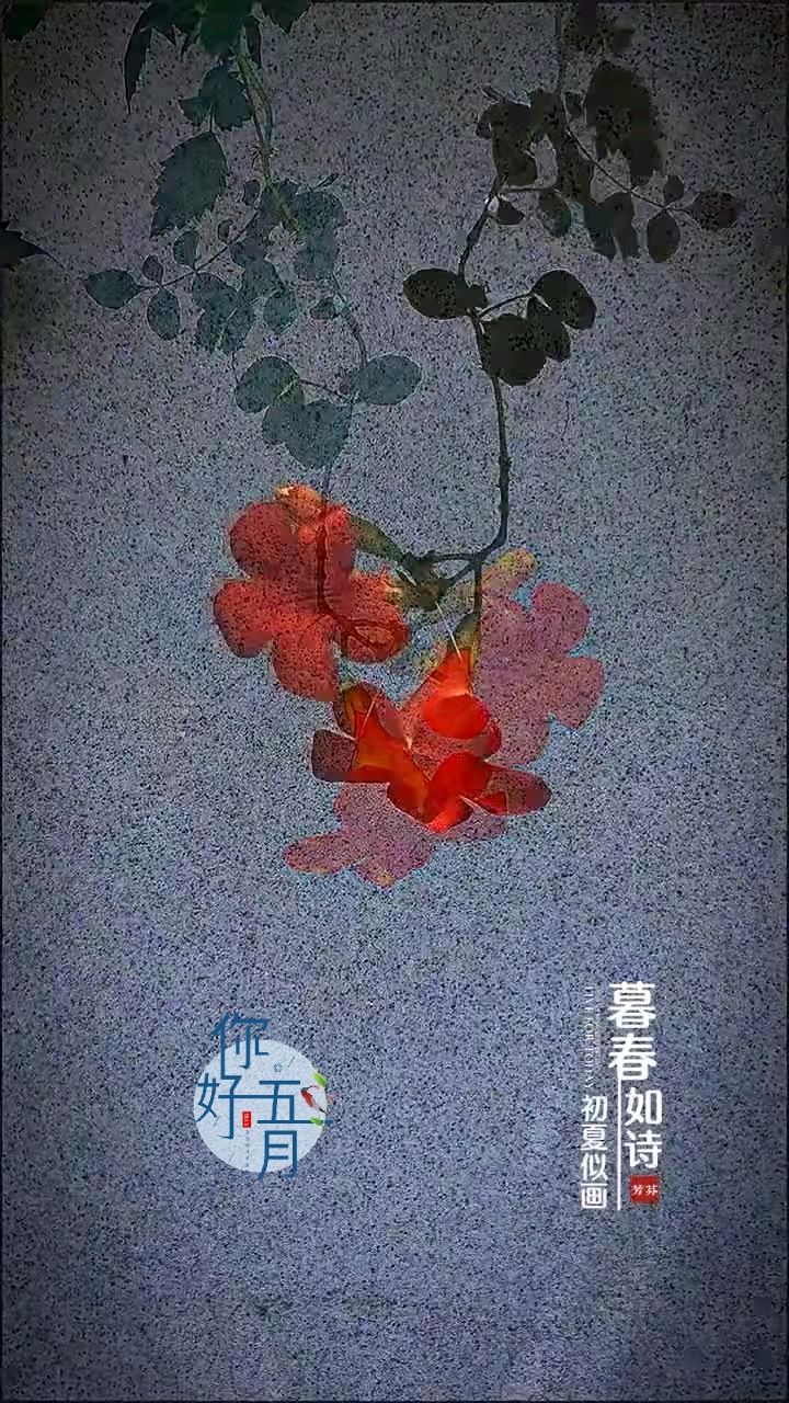 七绝-随吟～诗◑王政（图11）