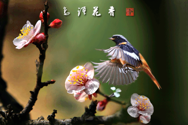 春光如海（图7）