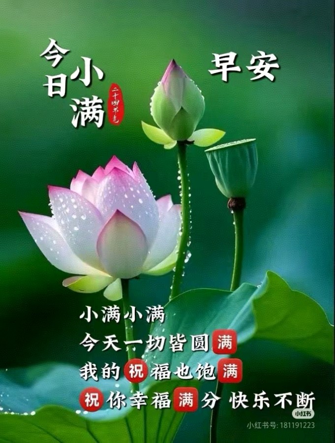小满/作者：线连石（图3）
