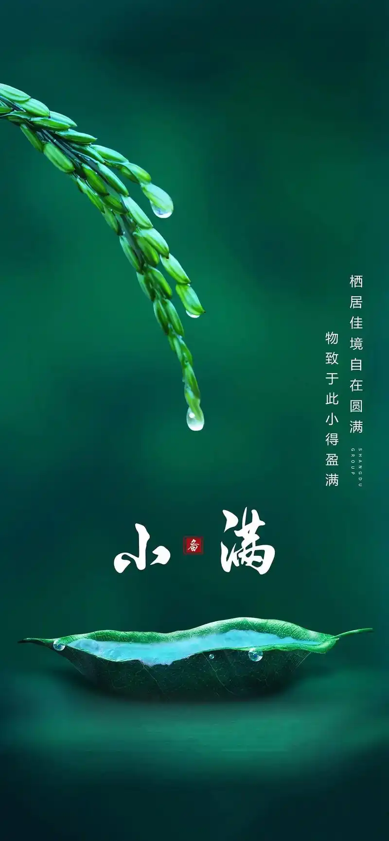 【名家风采】小满感怀（外一首）//文:蒲公英（图3）