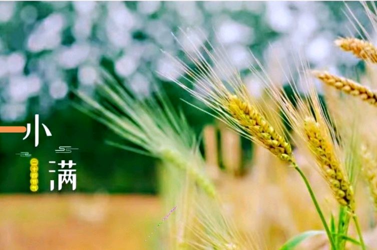 小满吟文/青山新雨一一一（图3）