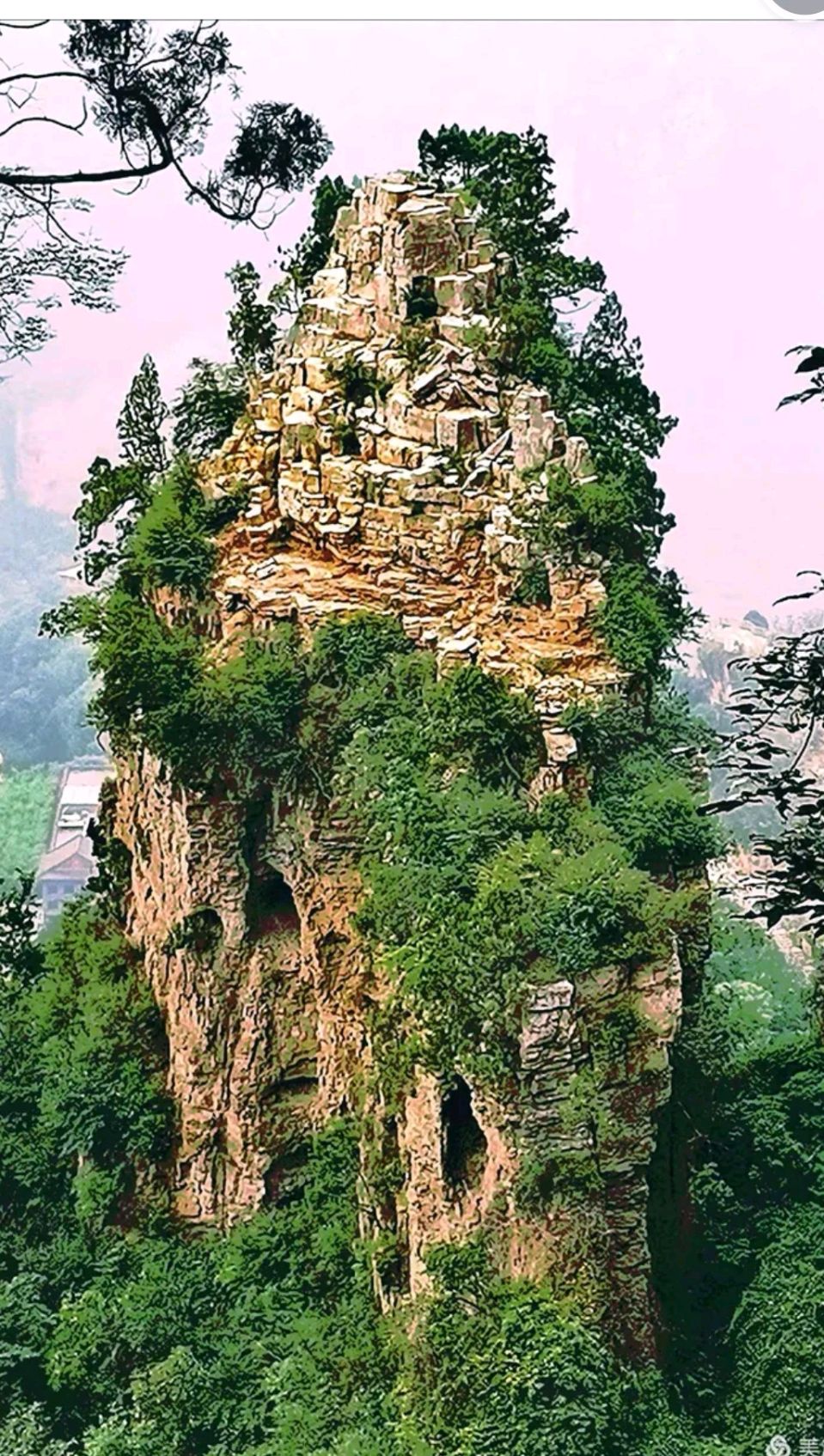 美丽兴隆山 文/蔡凤武（图8）