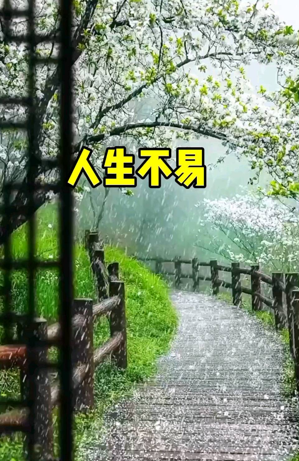 【新山东文学社】《七绝.三江湿地杂咏(外三首)》作者/朱守平 主播/红叶(图5)