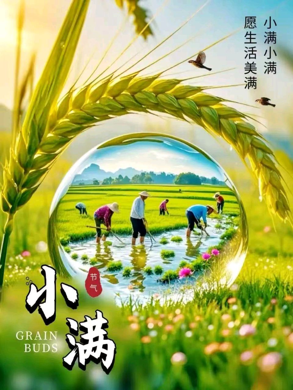 【墨香群英苑】七律•小满逢喜雨李改萍（图3）