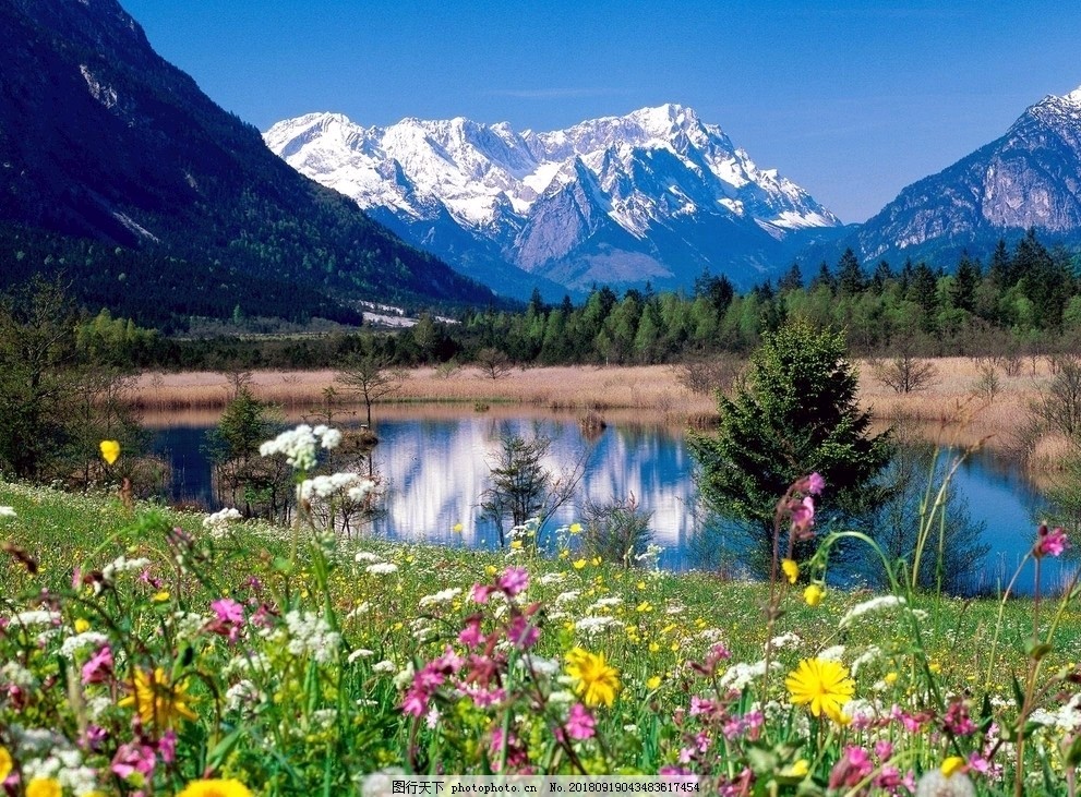 五绝 黄昏恋文/南山翁（图2）