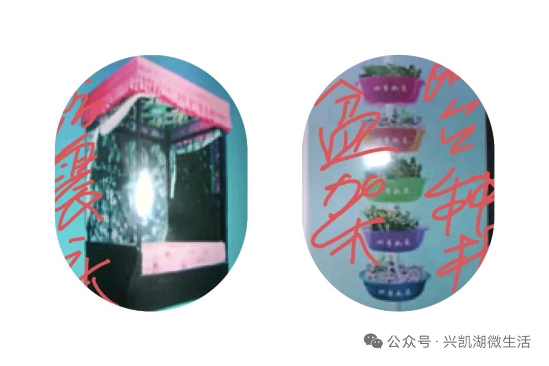 【人物新闻】新媒体人眼中的考古专家——具有浓郁家国情怀的卢化南/王夫（图6）